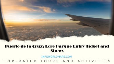 Puerto de la Cruz: Loro Parque Entry Ticket and Shows