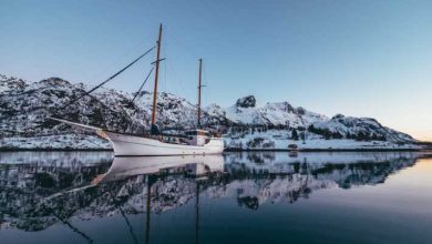 Tromsø: ballenas, luces del norte, husky o reno en trineo