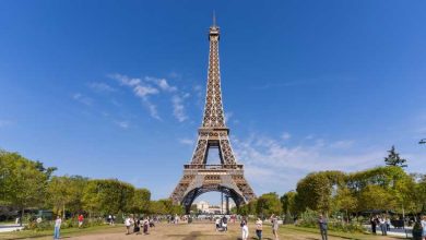 París: Tour de la Torre de la Torre Eiffel y el crucero de la línea de boletos