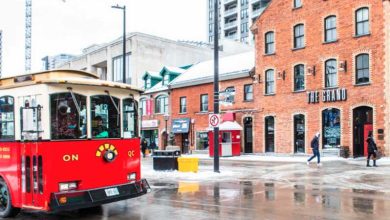 Ottawa: Hop on Hop Off Winter Tour por Vintage Bus