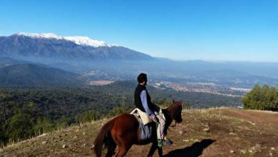 Santiago: Andes a caballo con almuerzo, queso y vino