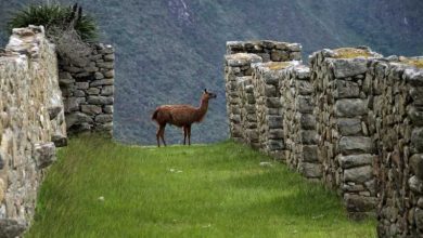 Salkantay: Machu Picchu Trek de 5 días todo incluido