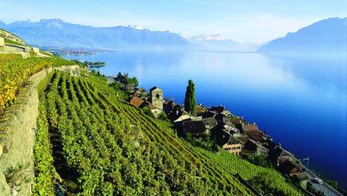 De Ginebra: Tour de Swiss Riviera con Chillon Castle