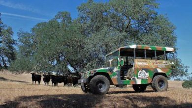San Luis Obispo: Santa Lucía Guida Nature Tour por Hummer