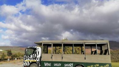 Robertson: Tour privada de Wine Valley en un vehículo de safari