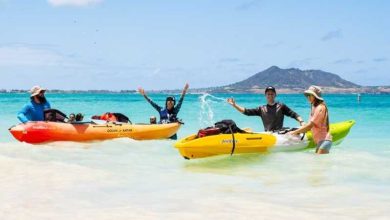 Kailua: Tour guiada de kayak a la isla de Popoia con almuerzo de picnic