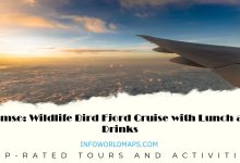 Tromsø: Wildlife Bird Fjord Cruise with Lunch and Drinks